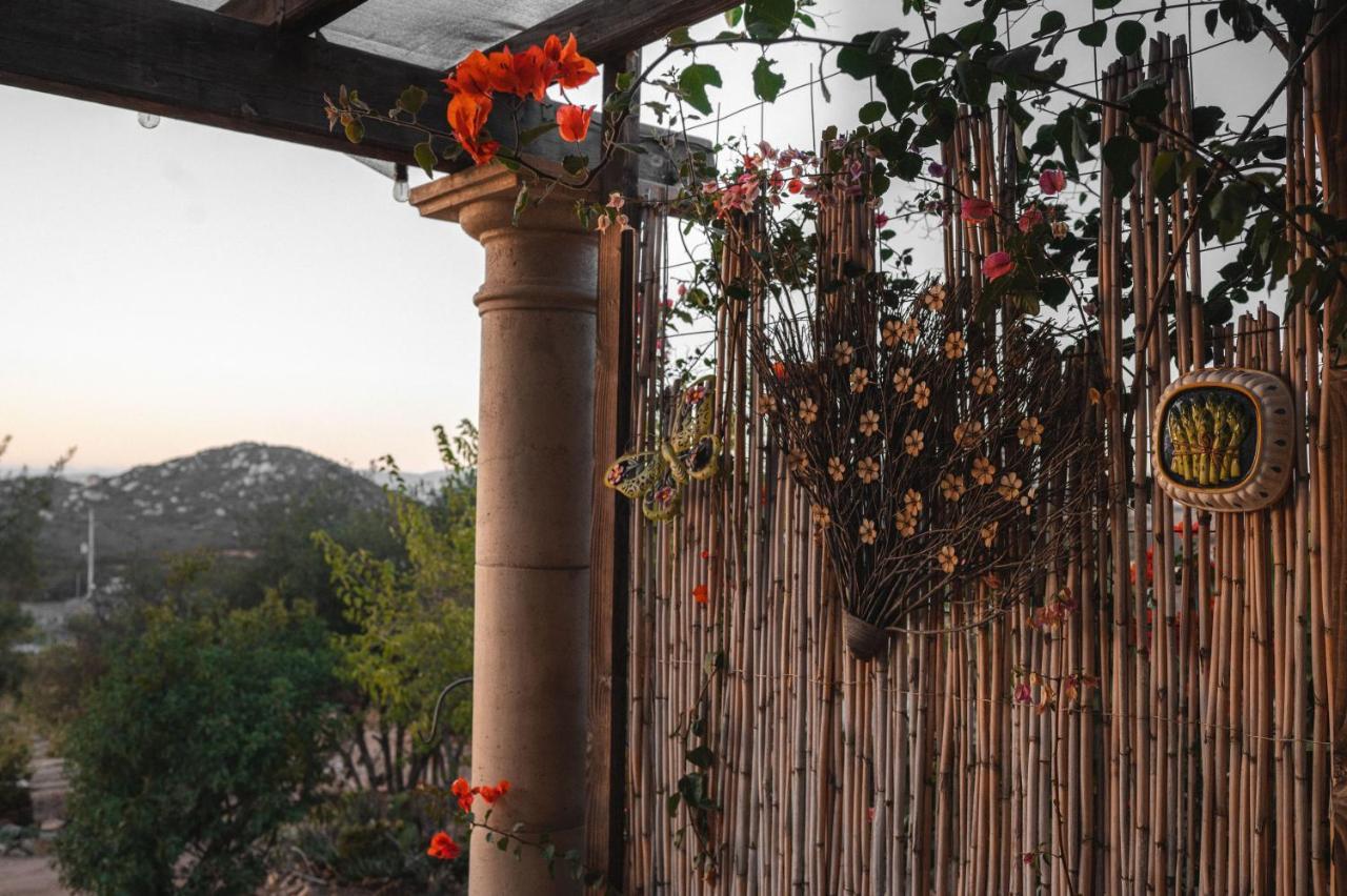 Viña Calabria Bed and Breakfast Valle de Guadalupe Exterior foto